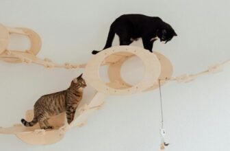 The Evolution of Cat Toys: What’s Trending Now
