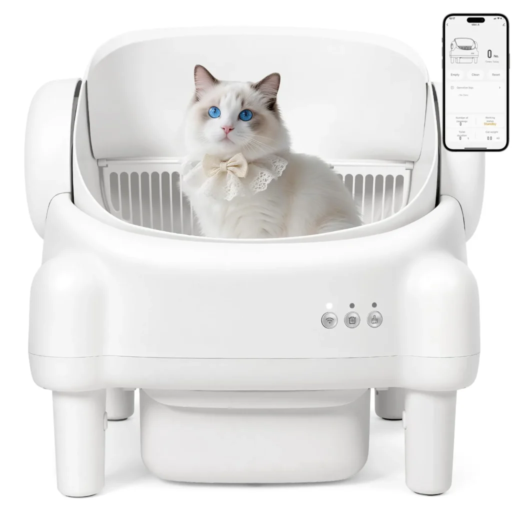 Cat in modern automated litter box