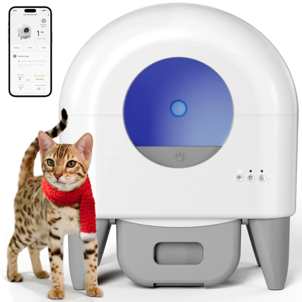 Cat near automated litter box